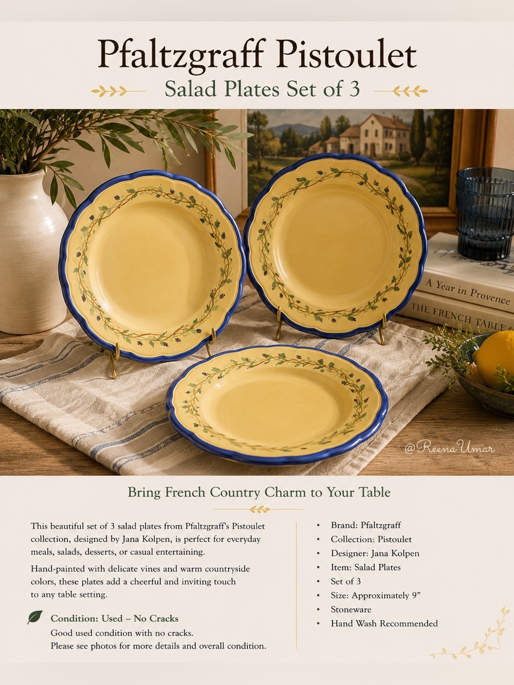 ☀️ Pfaltzgraff Pistoulet Salad Plates Set of 3 – Jana Kolpen